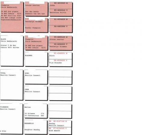 ameel-seels_pedigree_3.jpg