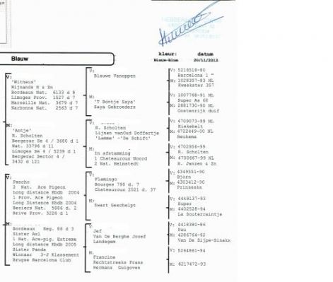 ameel-seels_pedigree_4.jpg