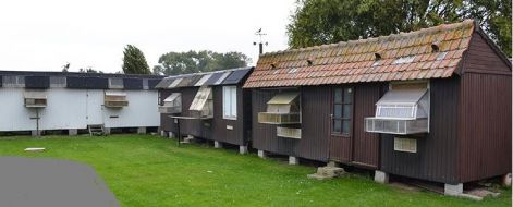 ameel-vanlake2.jpg ameel-vanlake2.jpg