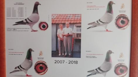 aug2019-degraevea9.jpg