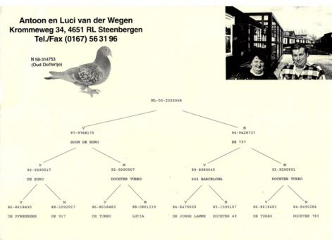 avdwegen2.jpg