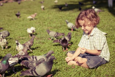 boy-with-pigeons.jpg