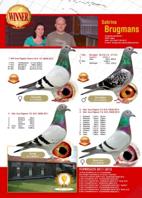 brugmans_flyer.jpg