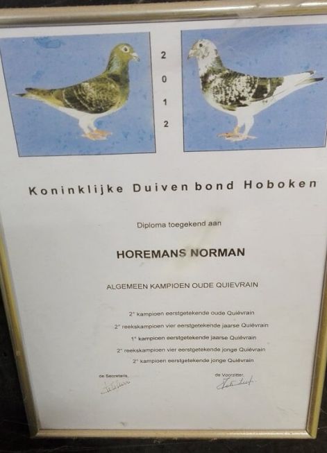 diploma_horemans.jpg