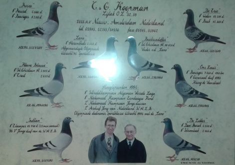 koopman_duiven_2.jpg koopman_duiven_2.jpg