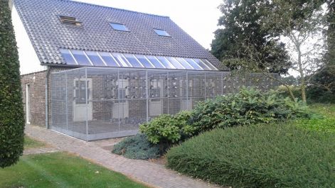 koopman_hok_1.jpg koopman_hok_1.jpg