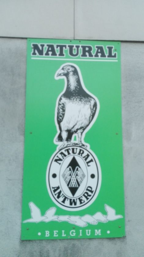 natural_logo.jpg