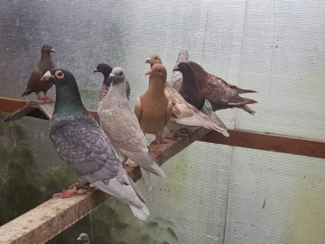 received_200404468079541.jpeg received_200404468079541.jpeg