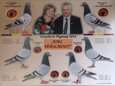 verschoot3.jpg verschoot3.jpg